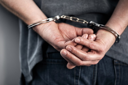 Allegations Involving an Assault of a Public Officer on Jetstar Flight